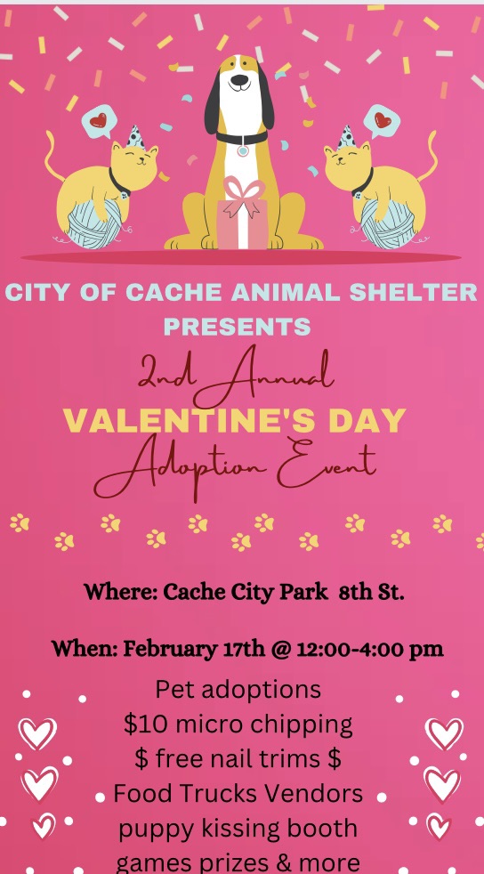 valentines day adoption event